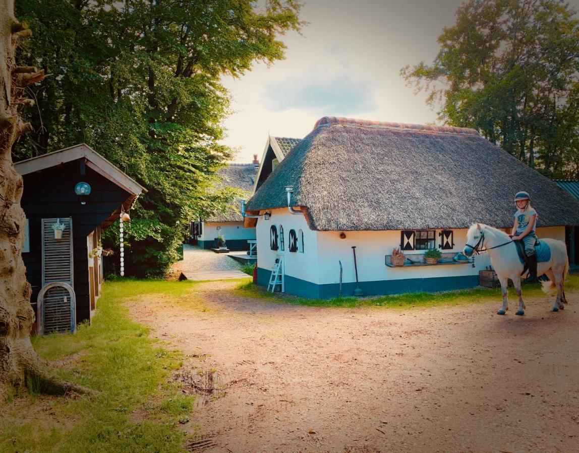 Bakhuisje Op De Veluwe Heerde Dış mekan fotoğraf