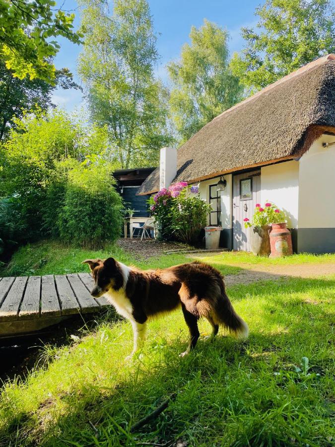 Bakhuisje Op De Veluwe Heerde Dış mekan fotoğraf