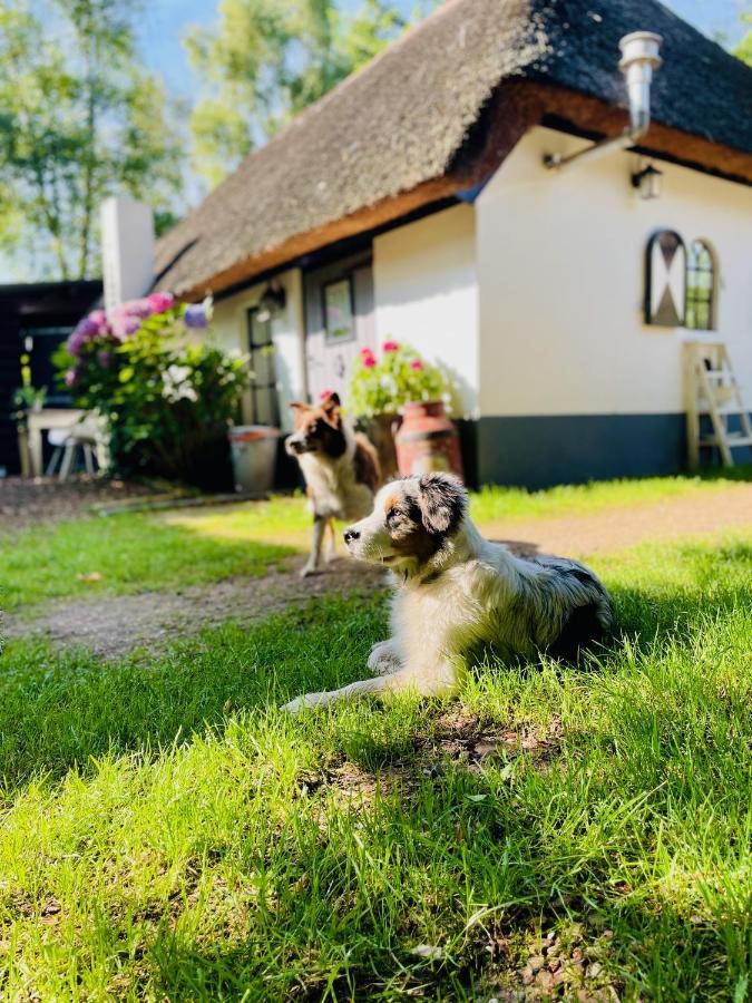 Bakhuisje Op De Veluwe Heerde Dış mekan fotoğraf